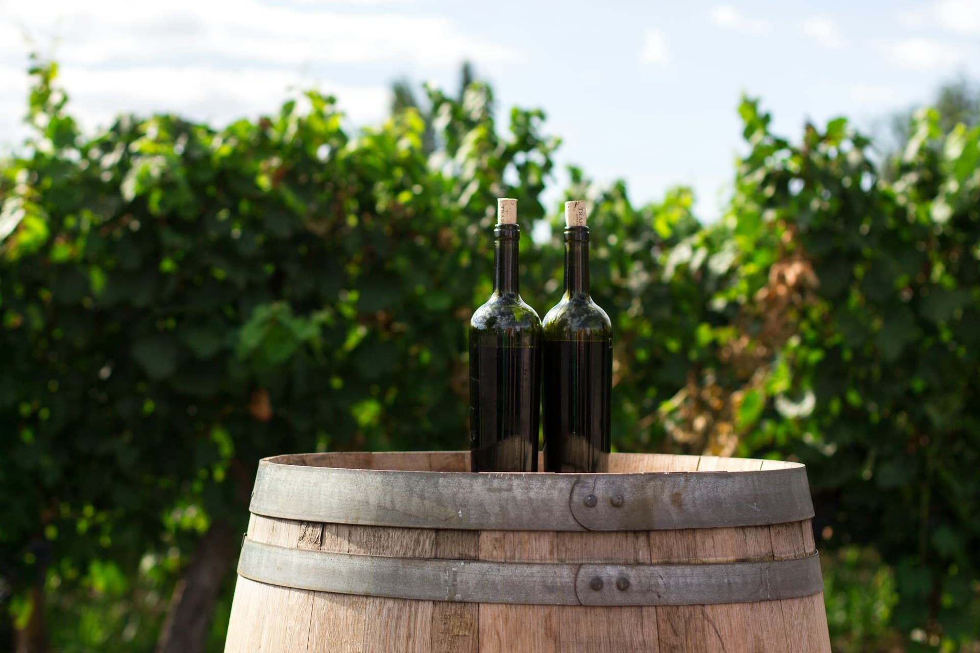Cantine Filisina
